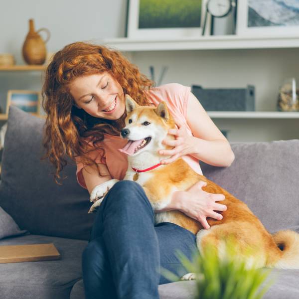 À propos d'Animalin